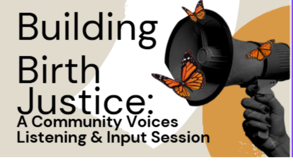 Building Birth Justice: A Community Voices Listening & Input Session In Person Event
