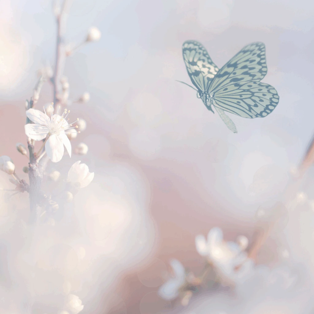 Pregnancy and Infant Loss Peer Support Group